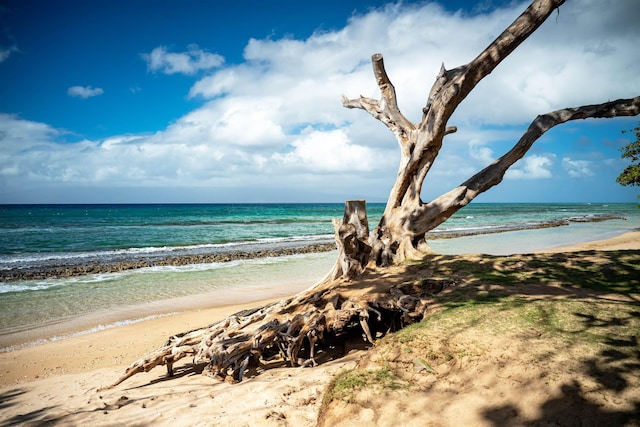 property view of water featuring a beach view