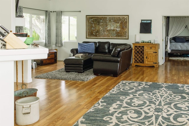 living room with wood finished floors