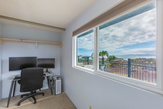 885 Haunani Pl, Wailuku, HI 96793 - office area featuring a textured ceiling and a wealth of natural light