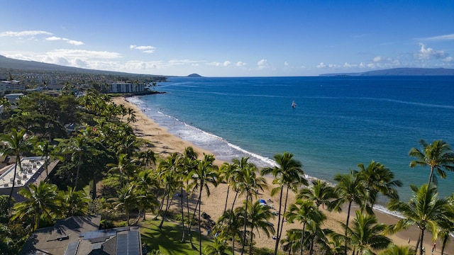 view of water feature with a beach view and a mountain view