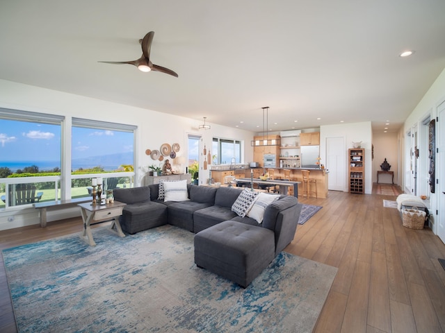 living room featuring hardwood / wood-style floors and ceiling fan