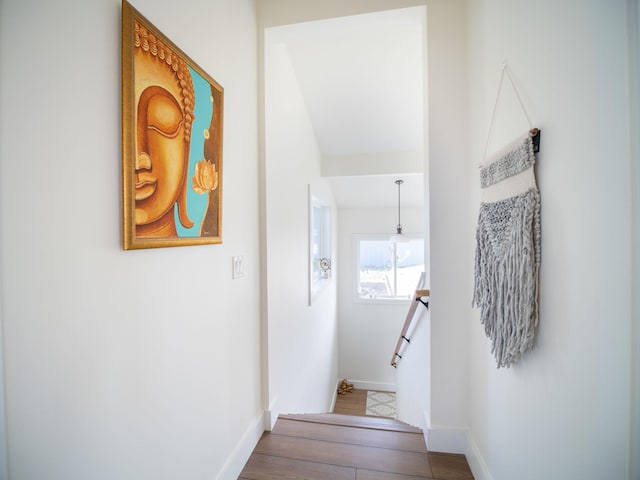 stairway with hardwood / wood-style floors