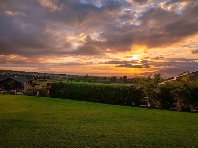 view of yard at dusk