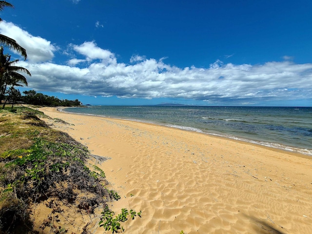 property view of water featuring a beach view