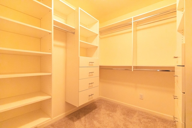 spacious closet featuring carpet