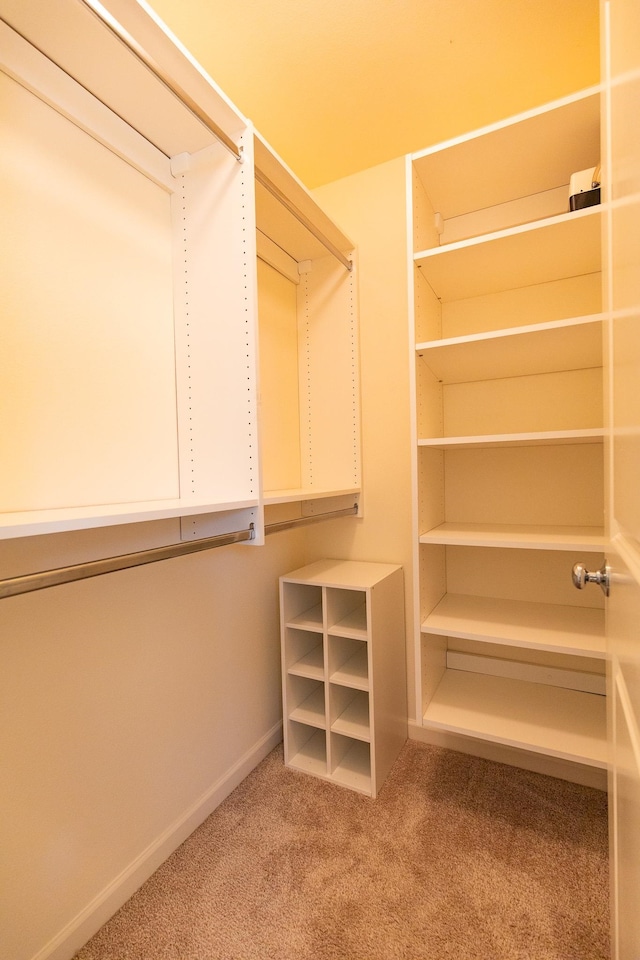 spacious closet featuring carpet flooring