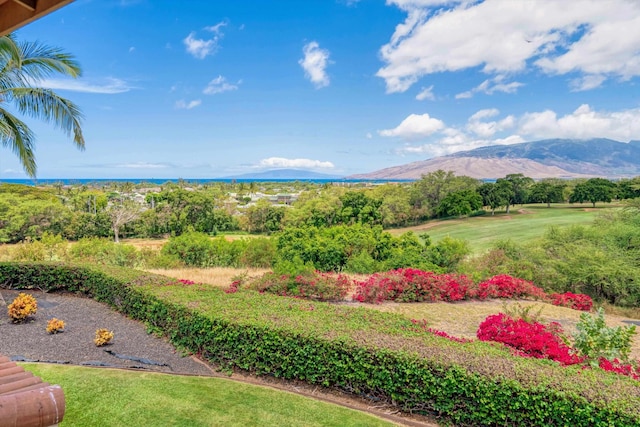 2335 Hihimanu St Unit 117, Kihei, HI 96753 - view of mountain backdrop