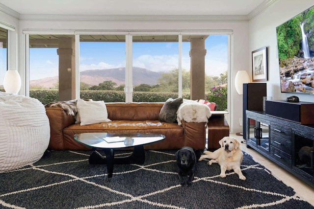 2335 Hihimanu St Unit 117, Kihei, HI 96753 - living area with a mountain view, ornamental molding, and carpet floors