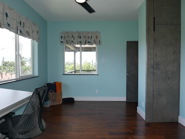 office space with dark hardwood / wood-style flooring