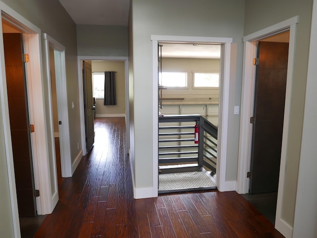 hallway featuring dark wood-type flooring