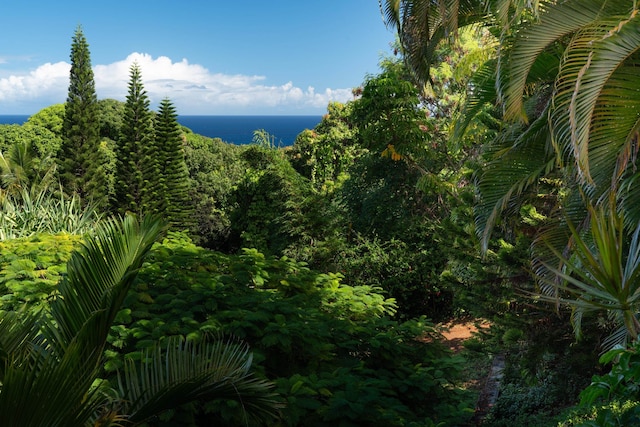 view of landscape featuring a water view