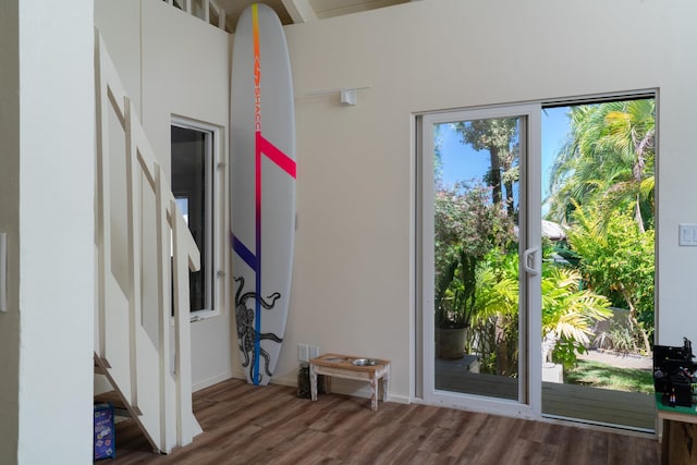 entryway featuring wood-type flooring