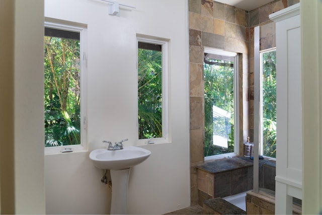 bathroom with a wealth of natural light