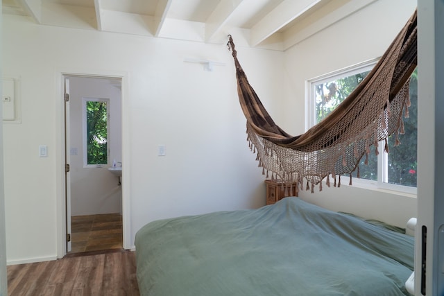 bedroom featuring multiple windows and wood-type flooring