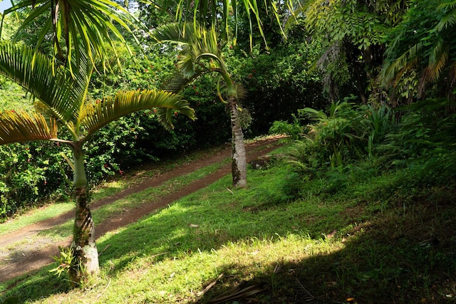 view of landscape