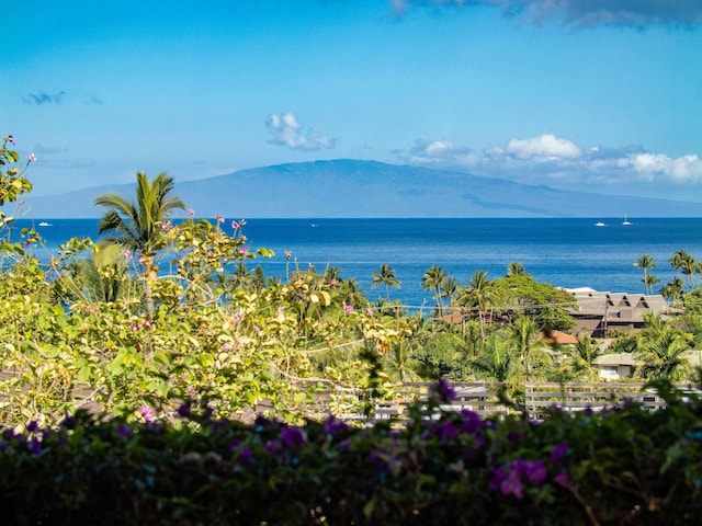 3100 Wailea Alanui Dr Unit 12, Kihei, HI 96753 - water view with mountains