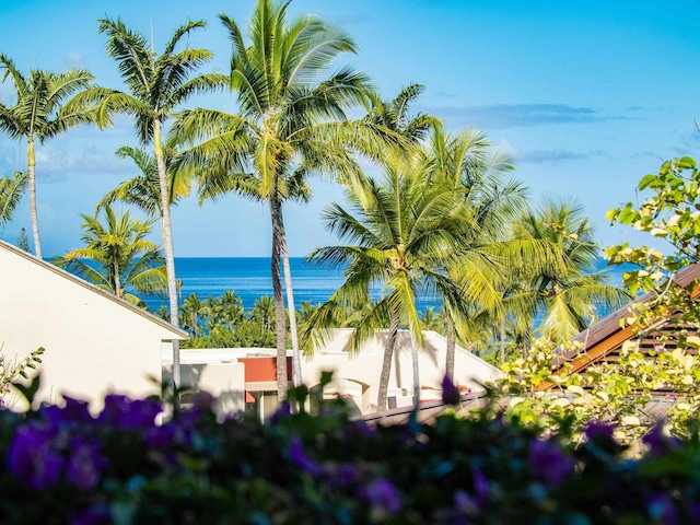 3100 Wailea Alanui Dr Unit 12, Kihei, HI 96753 - water view