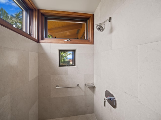 3100 Wailea Alanui Dr Unit 12, Kihei, HI 96753 - bathroom with a tile shower