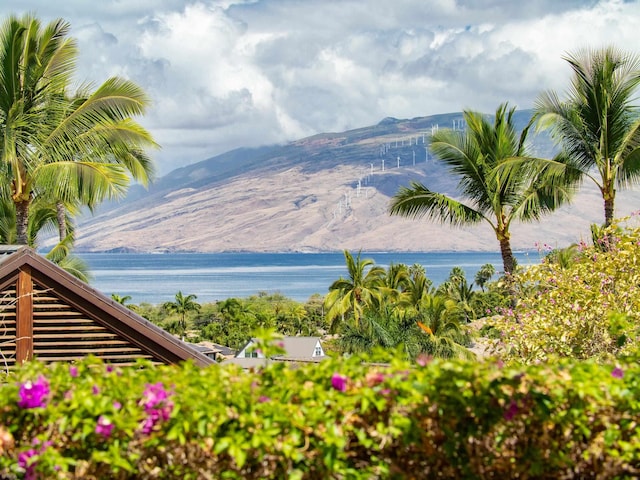 3100 Wailea Alanui Dr Unit 12, Kihei, HI 96753 - water view featuring a mountainous background