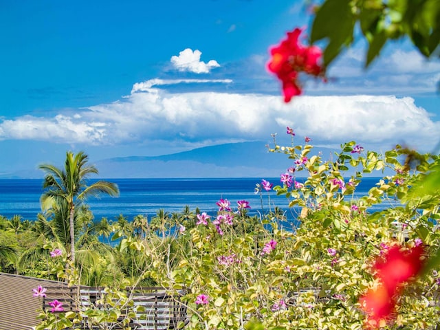 3100 Wailea Alanui Dr Unit 12, Kihei, HI 96753 - water view