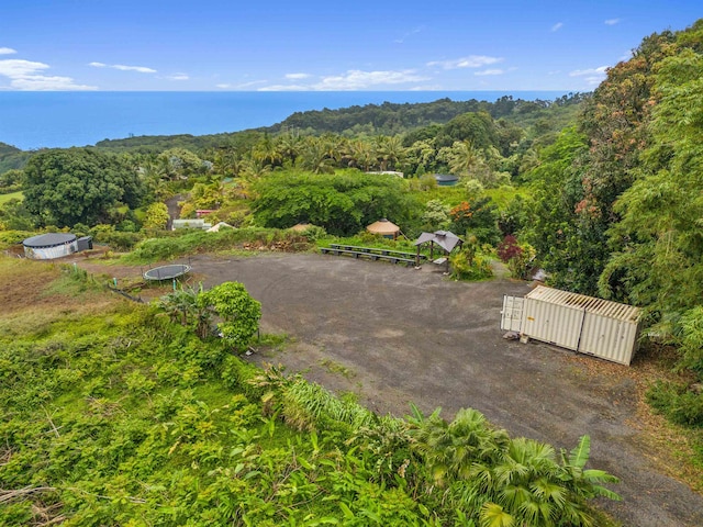 Listing photo 3 for 44 Hanauana Rd, Haiku HI 96708