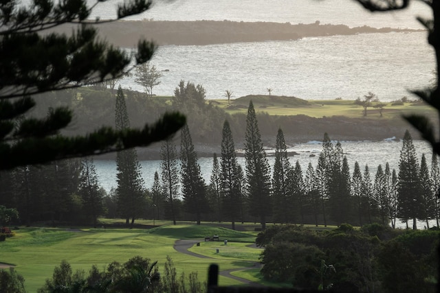 view of home's community featuring a water view and a yard