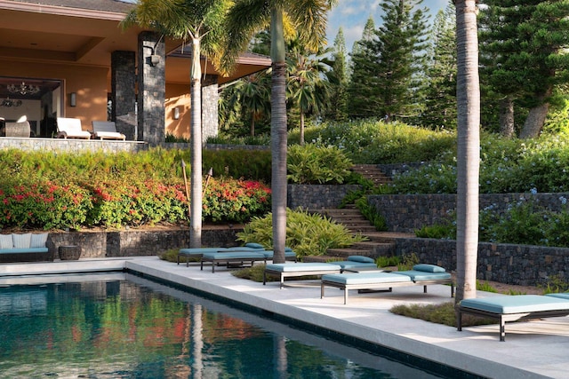 view of swimming pool with a patio area