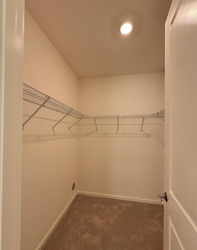 walk in closet featuring dark colored carpet