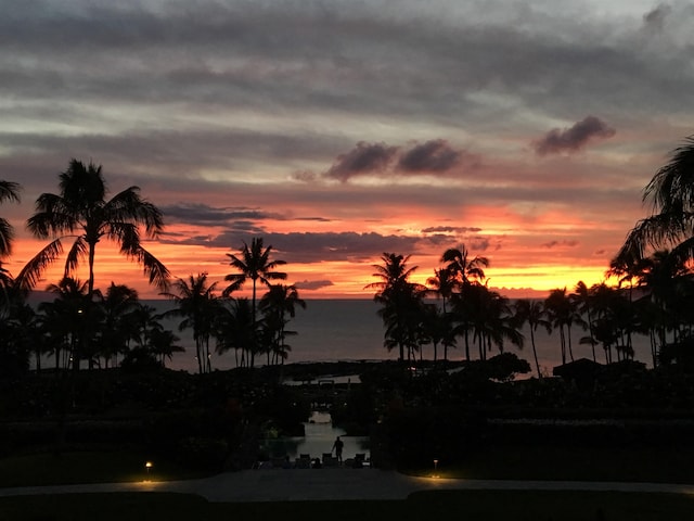 nature at dusk with a water view