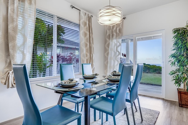 dining room featuring light hardwood / wood-style flooring