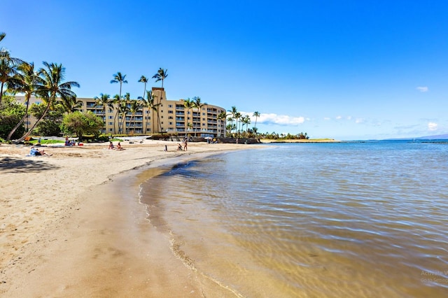 water view featuring a beach view