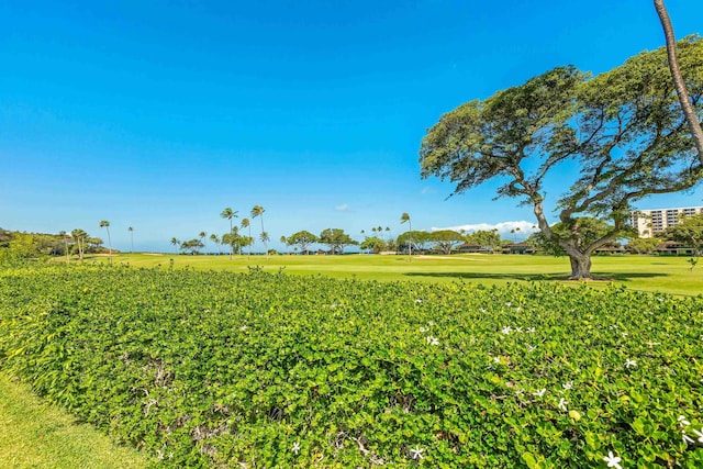 surrounding community featuring a lawn