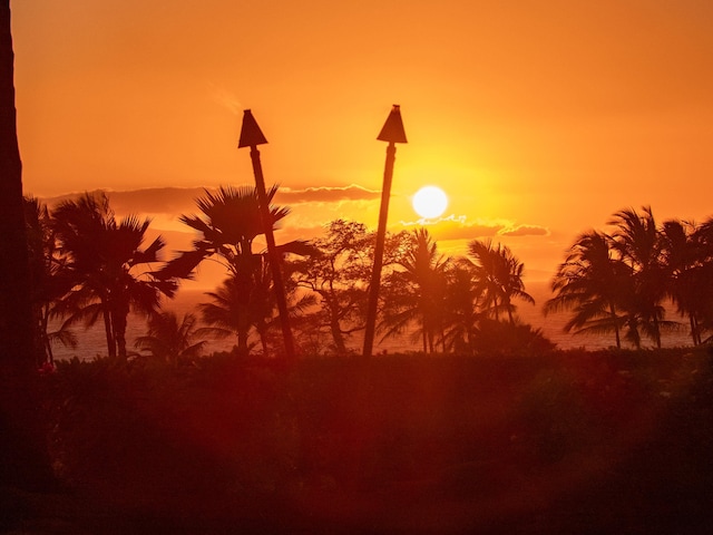 view of nature at dusk