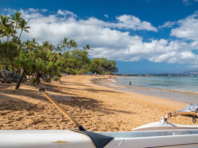 property view of water featuring a beach view