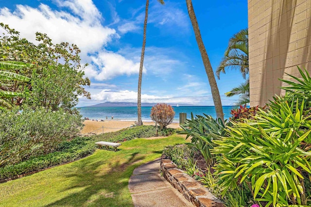 4327 Lower Honoapiilani Rd Unit 1002B, Lahaina, HI 96761 - water view