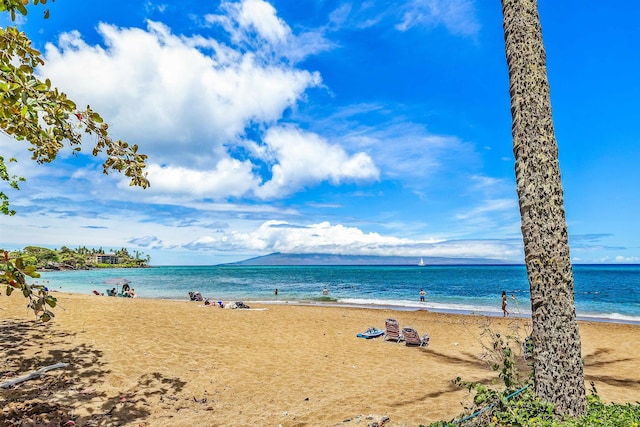 4327 Lower Honoapiilani Rd Unit 1002B, Lahaina, HI 96761 - water view featuring local beach