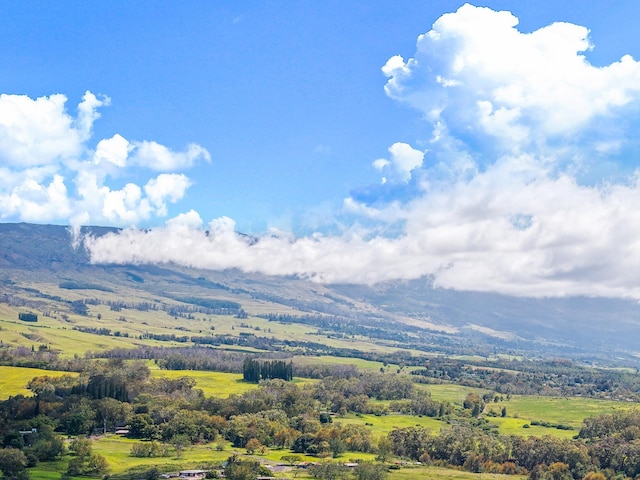 view of mountain feature