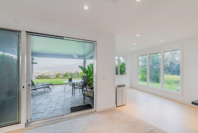 entryway with a wealth of natural light