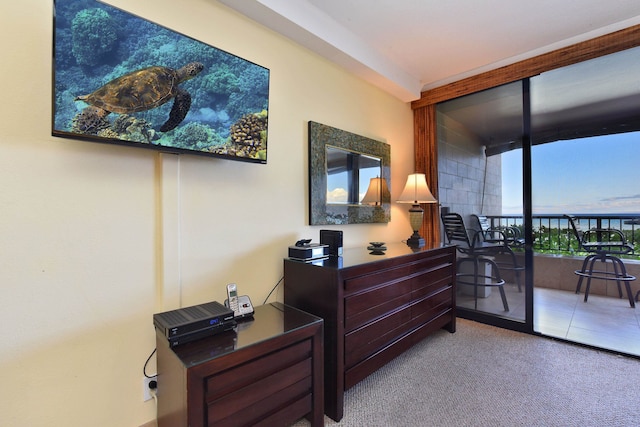 bedroom featuring carpet flooring