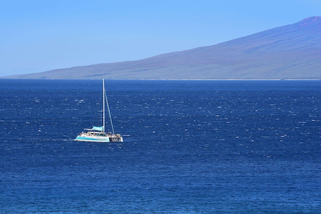 property view of water with a mountain view