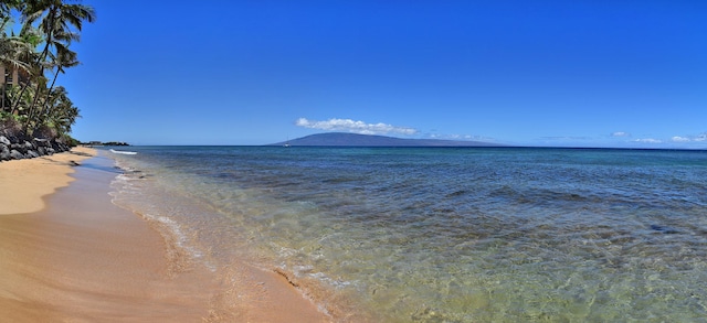 view of water feature featuring a beach view