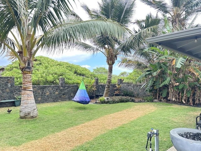 550 Kailana St, Wailuku, HI 96793 - view of yard