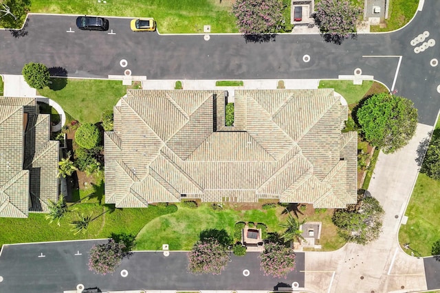 drone / aerial view
