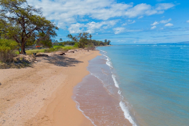 water view featuring a beach view