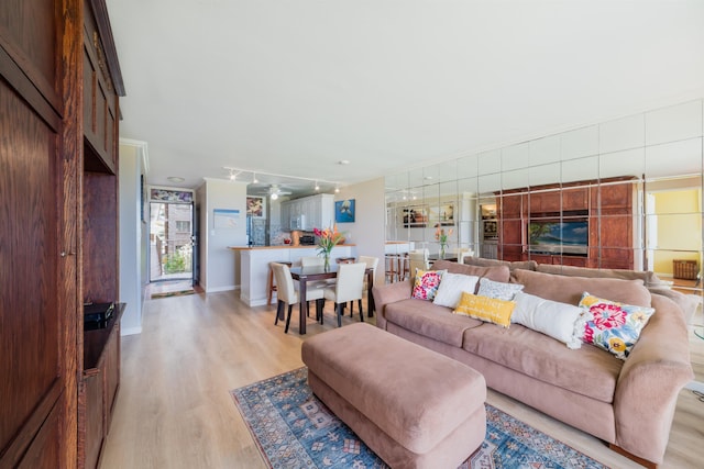 living room featuring light hardwood / wood-style flooring and track lighting