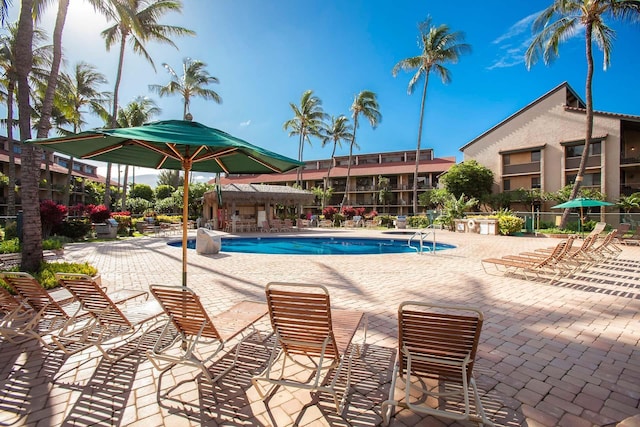 view of pool featuring a patio