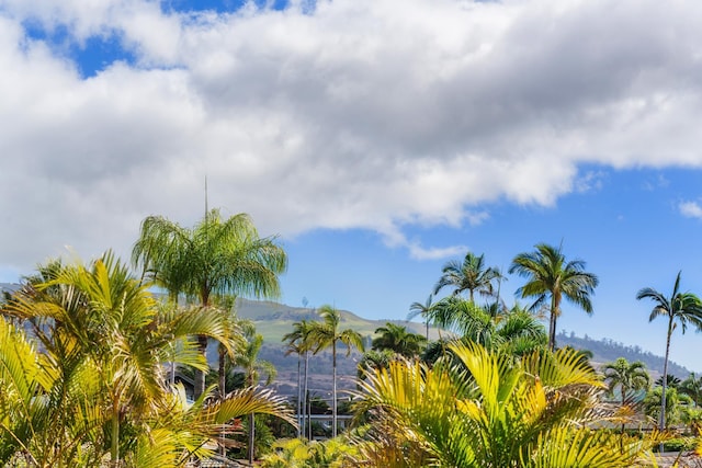 water view featuring a mountain view