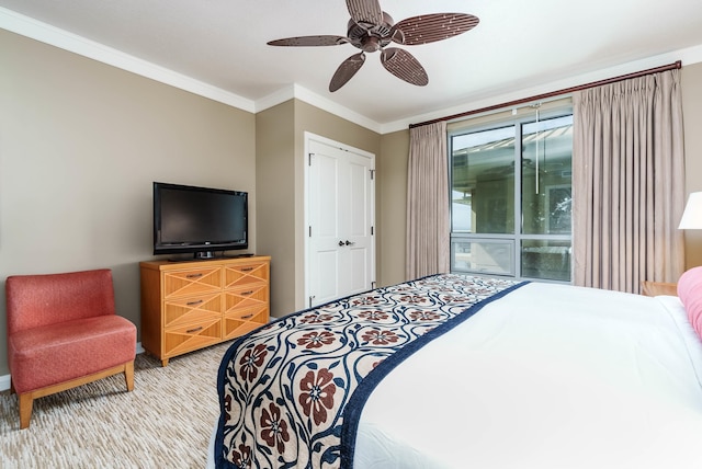 carpeted bedroom with ceiling fan, a closet, and crown molding