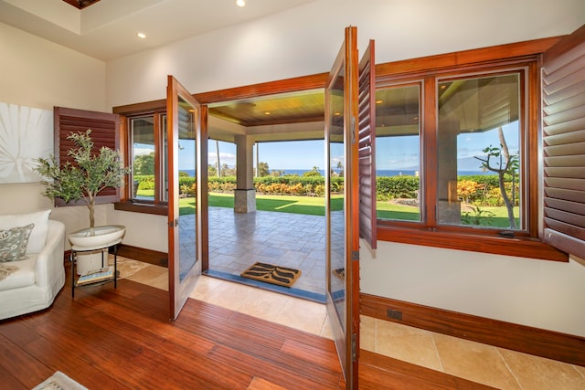 doorway featuring hardwood / wood-style floors and a wealth of natural light