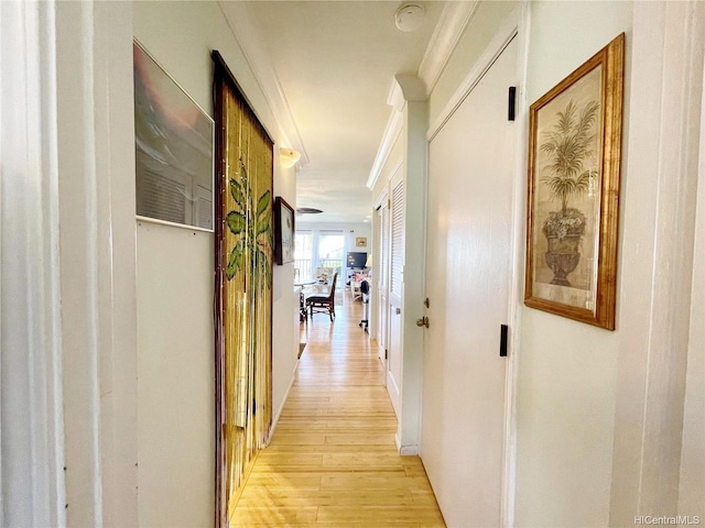 7146 Kamehameha V Hwy Unit 207C, Kaunakakai, HI 96748 - corridor with light wood finished floors and ornamental molding